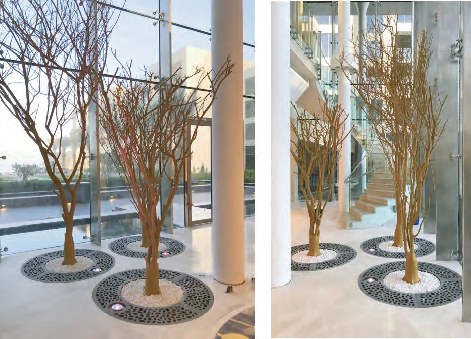 Installation of native Acacia and Birch trees in the Amwaj Lounge