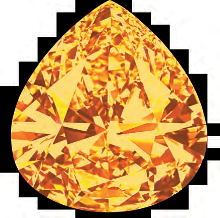 Pallavi Vikram faceted gold brand mark